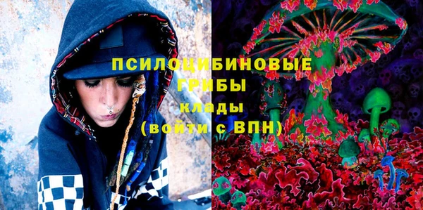 бошки Абдулино