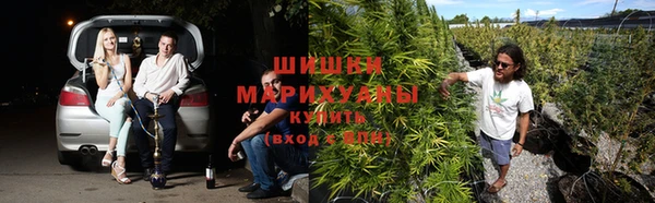 a pvp Абаза